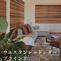 画像330