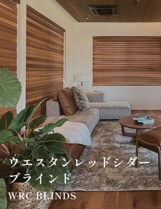 画像330